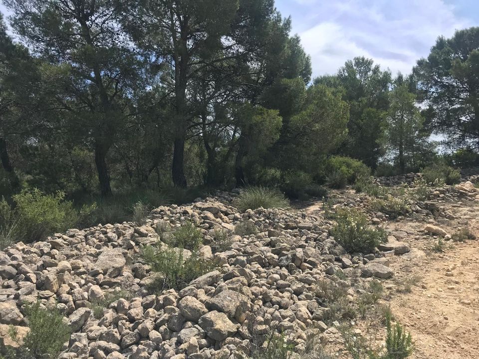 Helårsgrund i Monovar, Alicante - foto 2