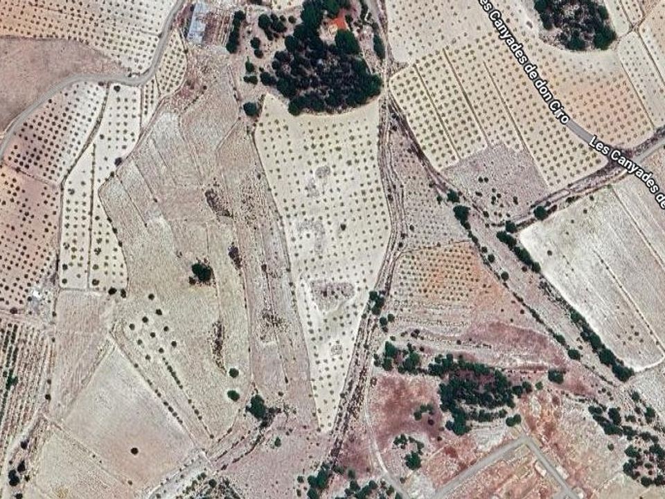 Helårsgrund i Monovar, Alicante - foto 4