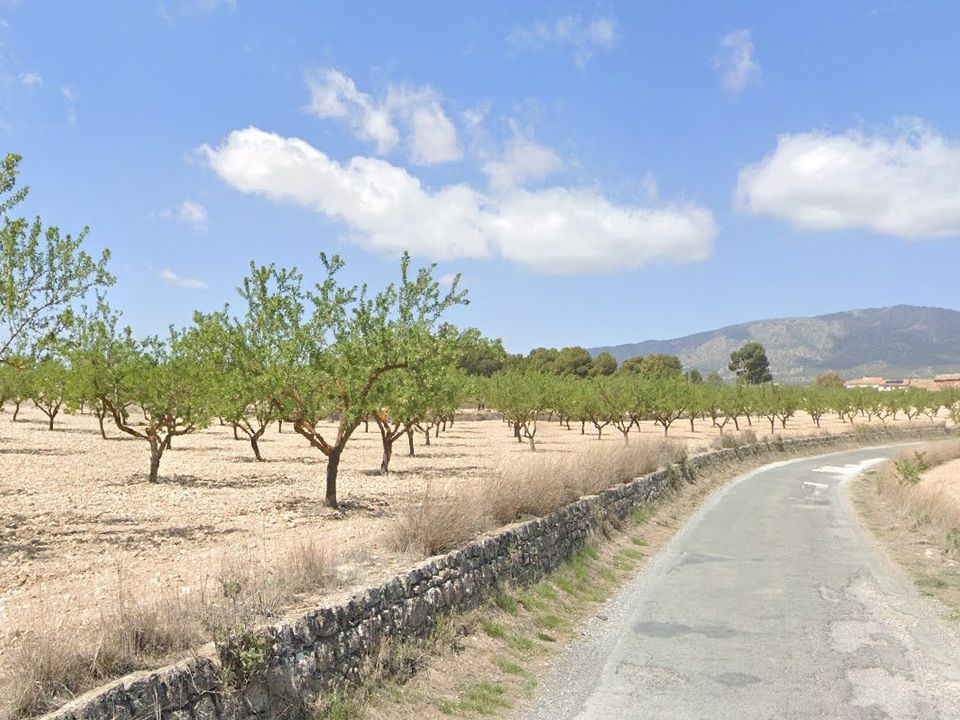 Grond in Monovar, Alicante - foto 1