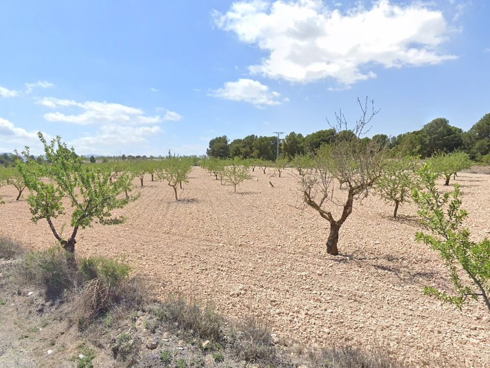 Grond in Monovar, Alicante - foto 2