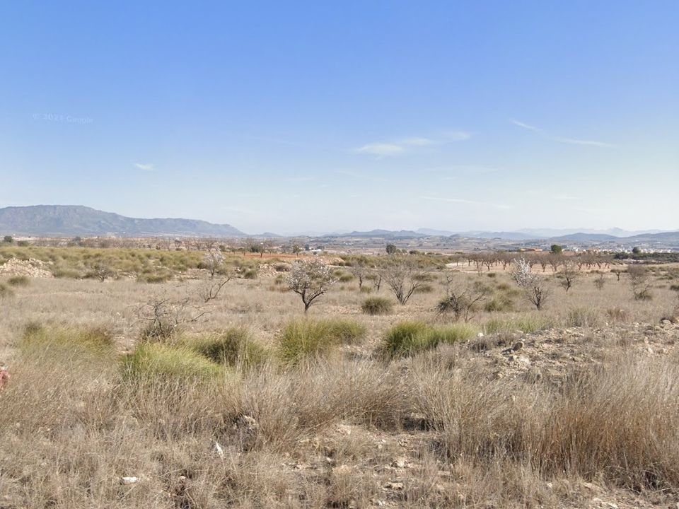 Helårsgrund i Pinoso, Alicante - foto 1