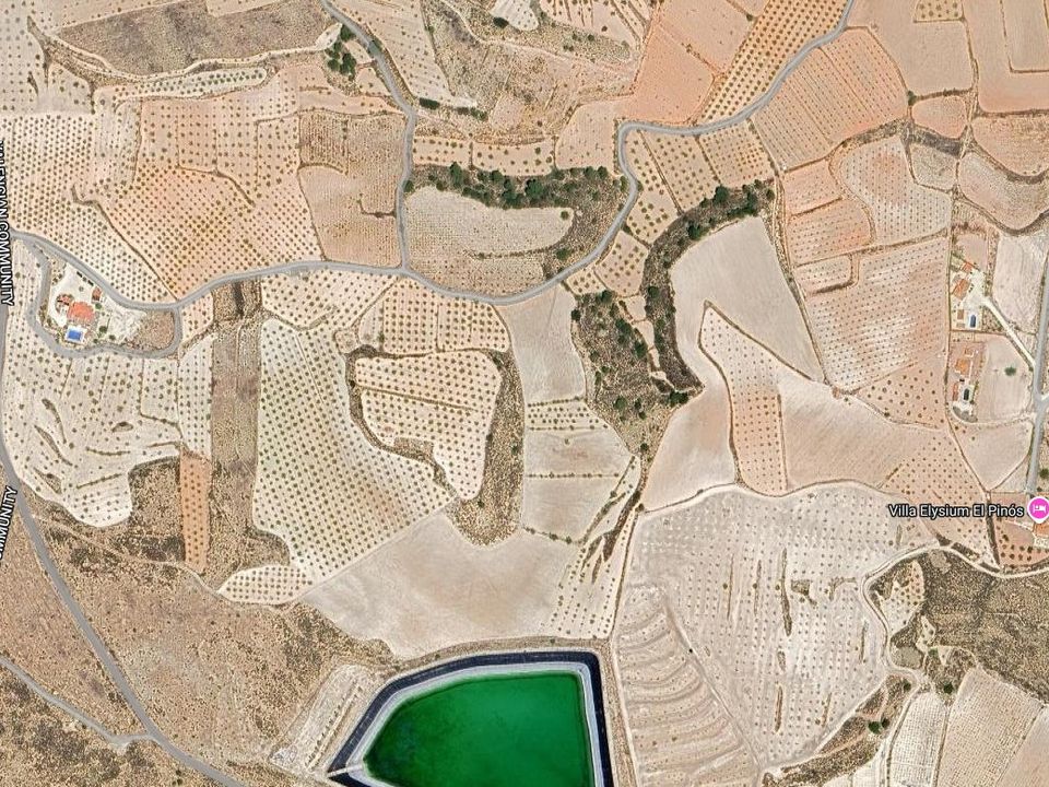 Helårsgrund i Pinoso, Alicante - foto 3