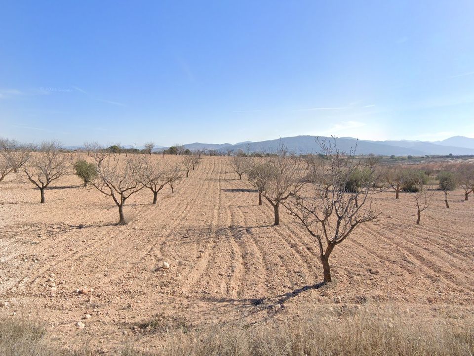 Helårsgrund i Pinoso, Alicante - foto 1