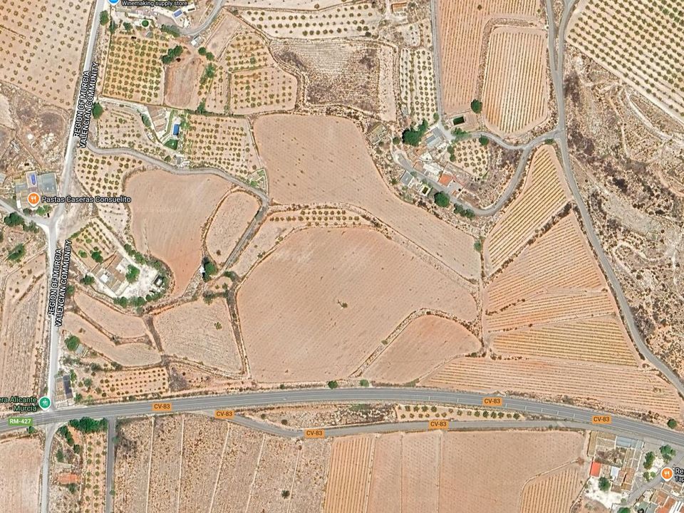 Helårsgrund i Pinoso, Alicante - foto 3