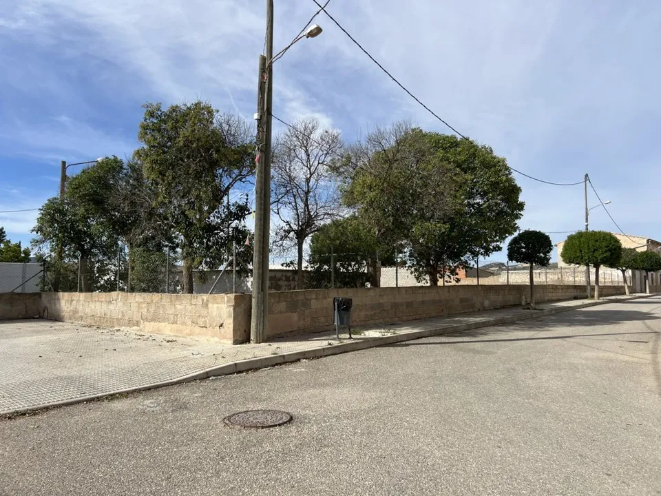 Helårsgrund i Pinoso, Alicante - foto 3