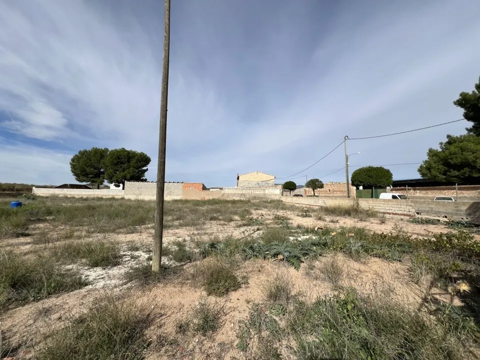 Helårsgrund i Pinoso, Alicante - foto 5