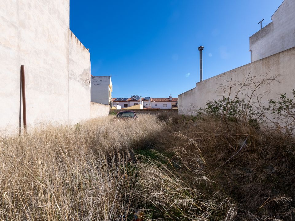 Helårsgrund i Pinoso, Alicante - foto 2