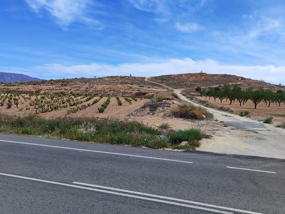 Helårsgrund i Pinoso, Alicante - foto 1