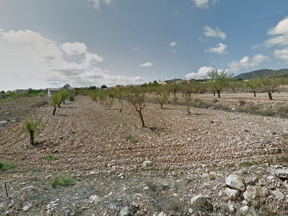 Helårsgrund i Raspay, Murcia - foto 2