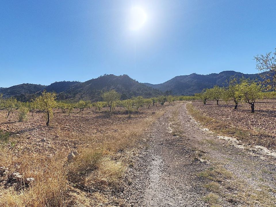 Helårsgrund i Yecla, Murcia - foto 2