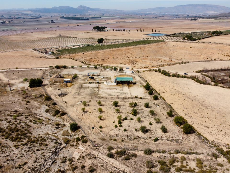 Helårsgrund i Villena, Alicante - foto 3
