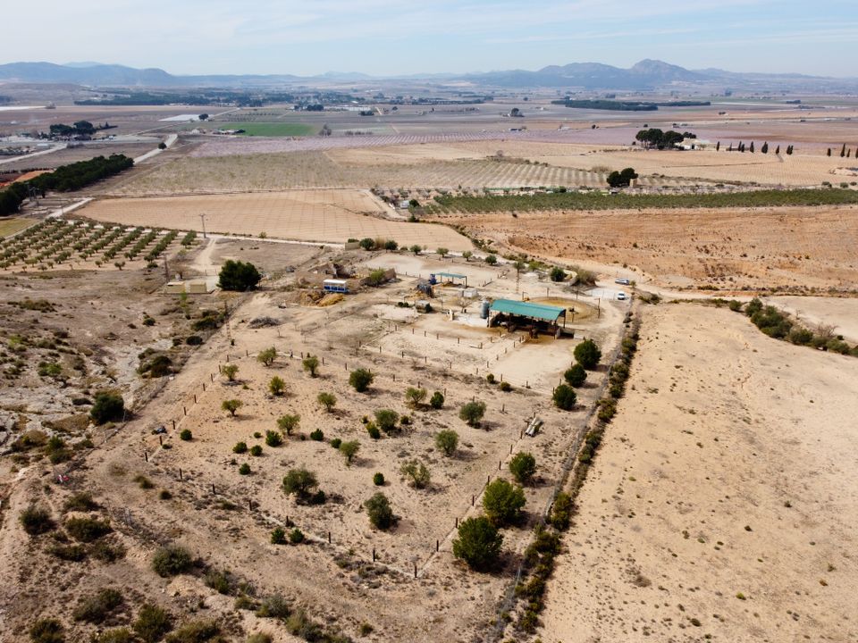 Helårsgrund i Villena, Alicante - foto 4