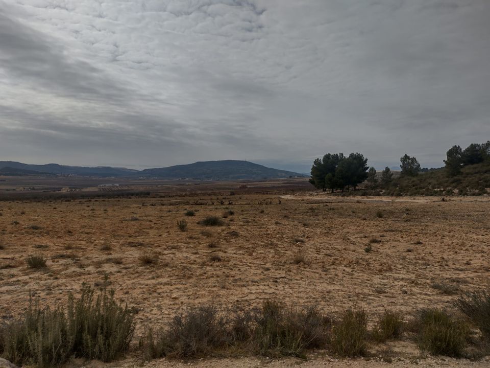 Helårsgrund i Pinoso, Alicante - foto 3