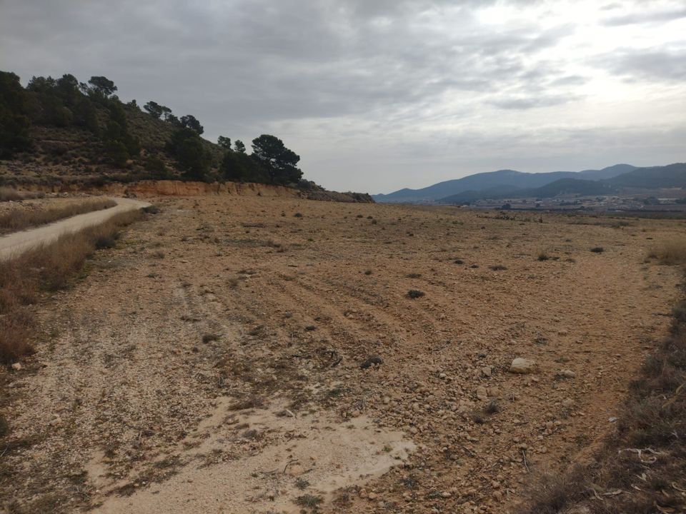 Helårsgrund i Pinoso, Alicante - foto 4