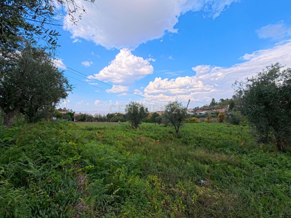 Helårsgrund i Aldeias e Mangualde da Serra, Guarda - foto 4