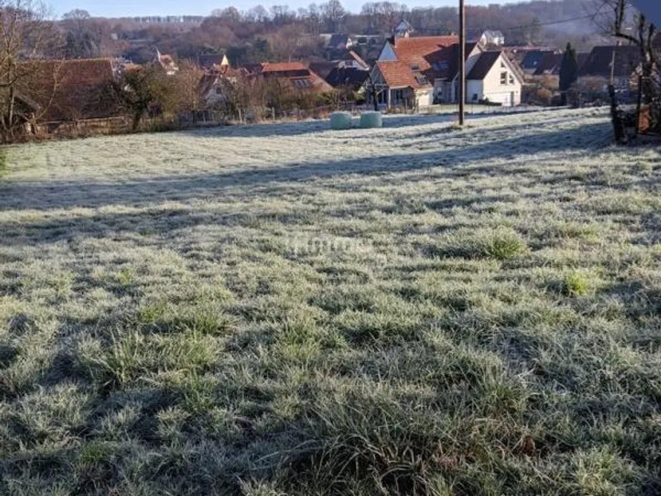 Helårsgrund i Lobsann, Bas-Rhin - foto 2