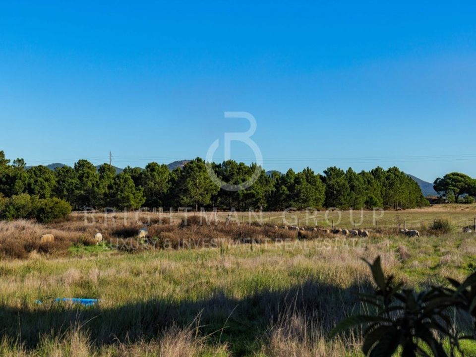 Farm i Vila Nova de Milfontes, Beja - foto 5