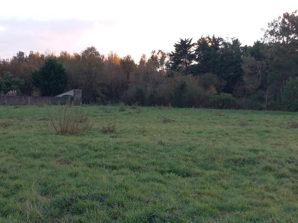 Helårsgrund i Chaumes-en-Retz, Loire-Atlantique - foto 2