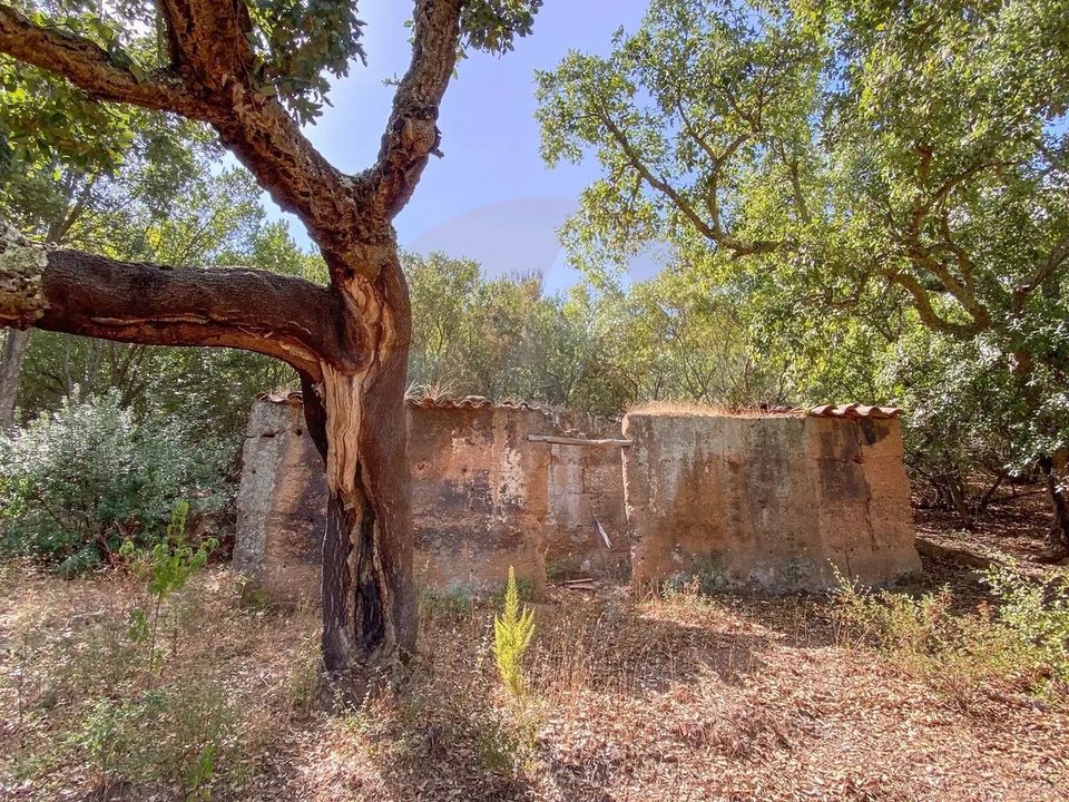 Villa i Aljezur, Faro - bilde 1