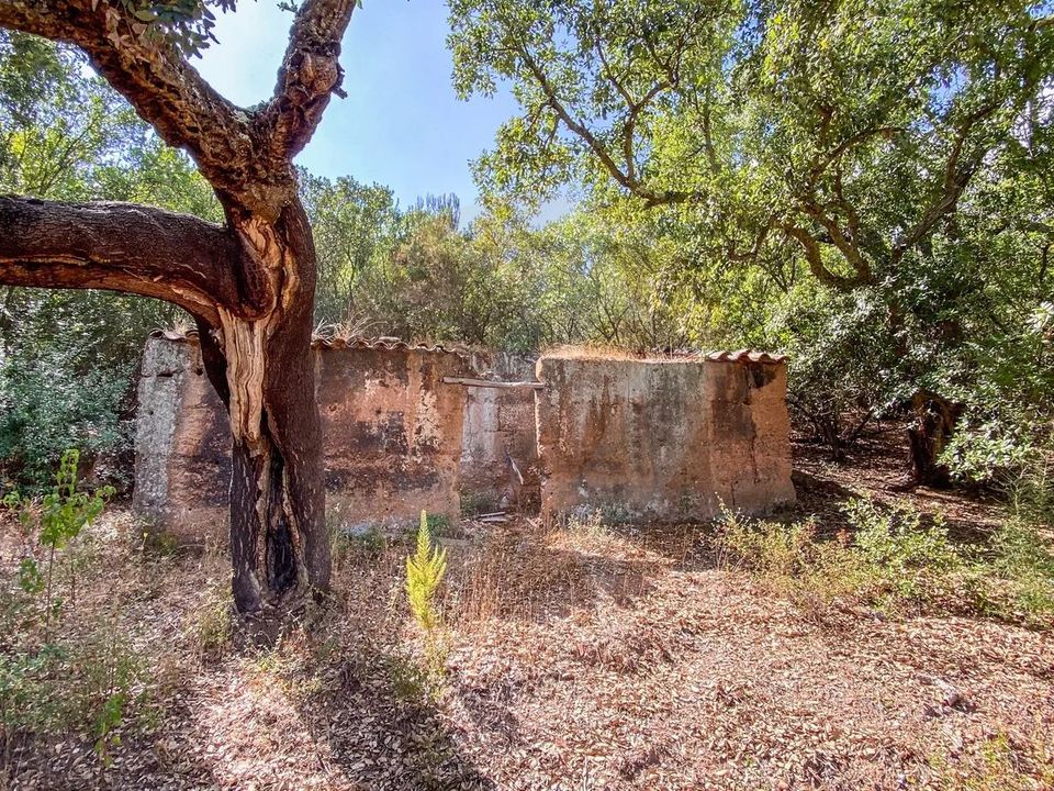 Villa i Aljezur, Faro - bilde 3