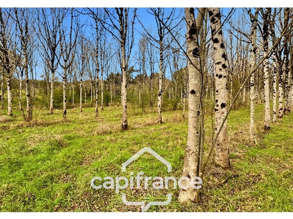 Villa i Monflanquin, Lot-et-Garonne - foto 1