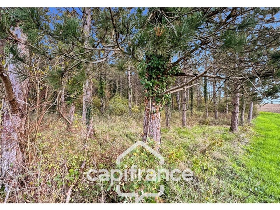 Villa i Monflanquin, Lot-et-Garonne - foto 4