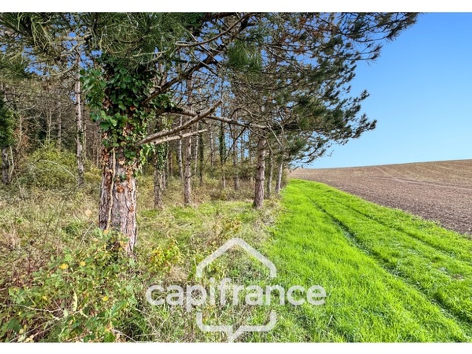 Villa i Monflanquin, Lot-et-Garonne - foto 5
