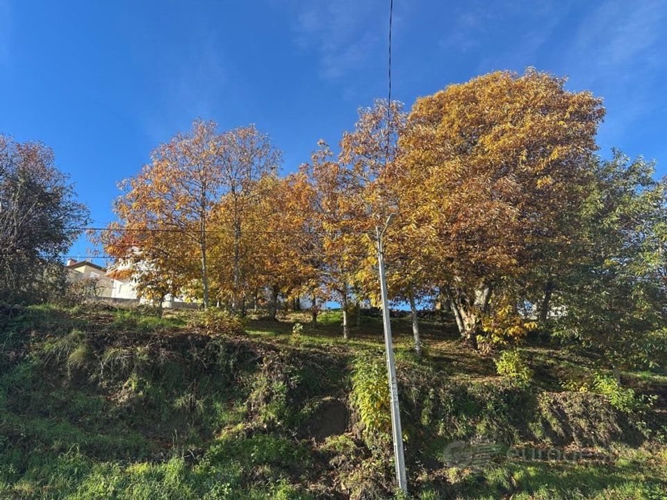 Tomt i Penude, Viseu - bilde 5