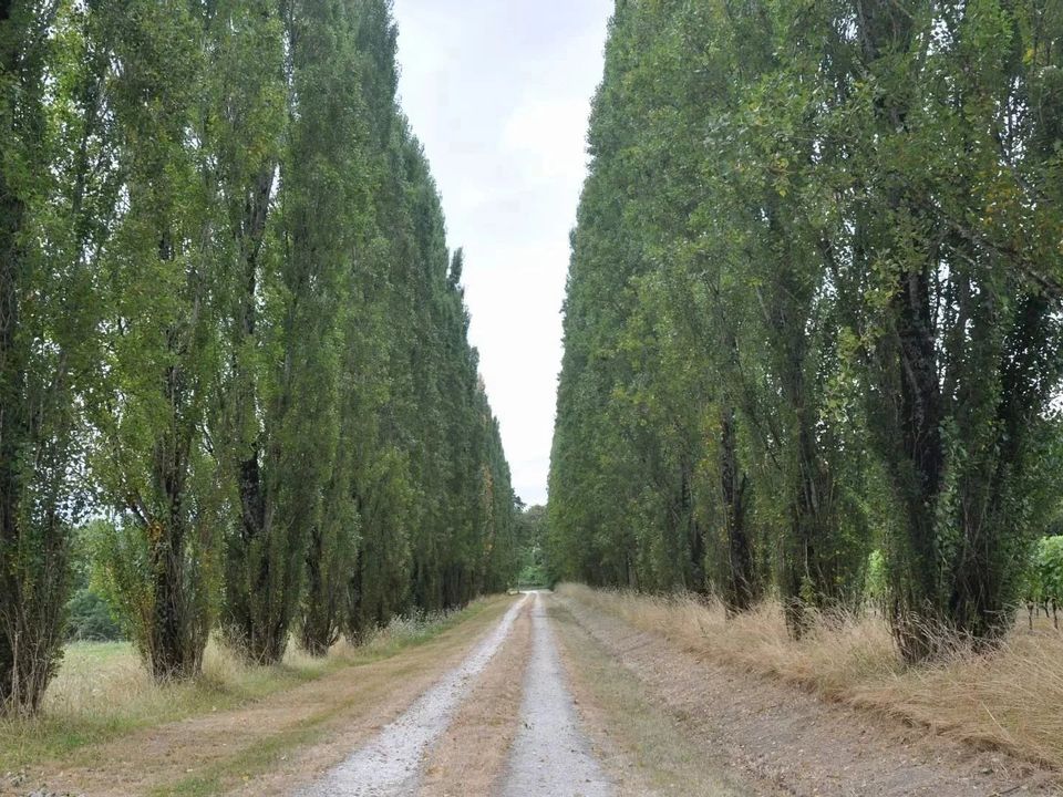 Villa i Aubeterre-sur-Dronne, Charente - foto 2