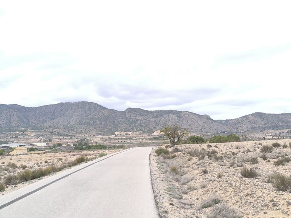 Helårsgrund i Salinas, Alicante - foto 5