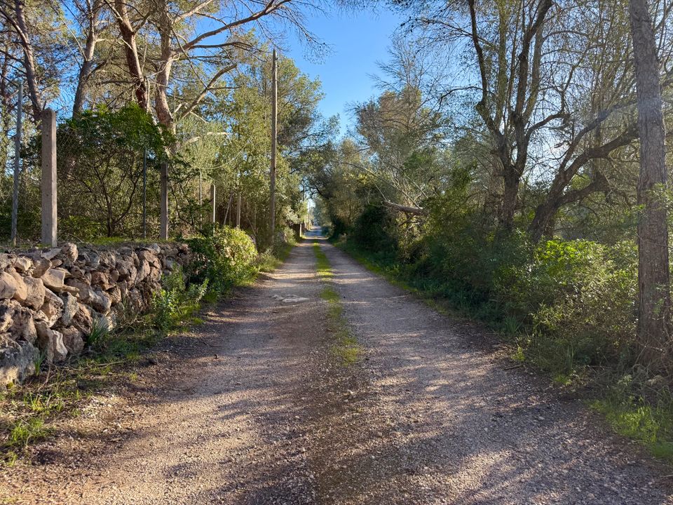 Helårsgrund i Algaida, Mallorca - foto 2