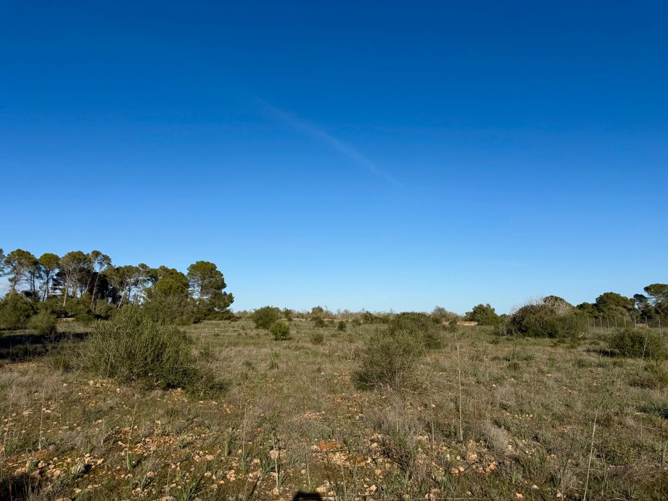 Helårsgrund i Algaida, Mallorca - foto 4