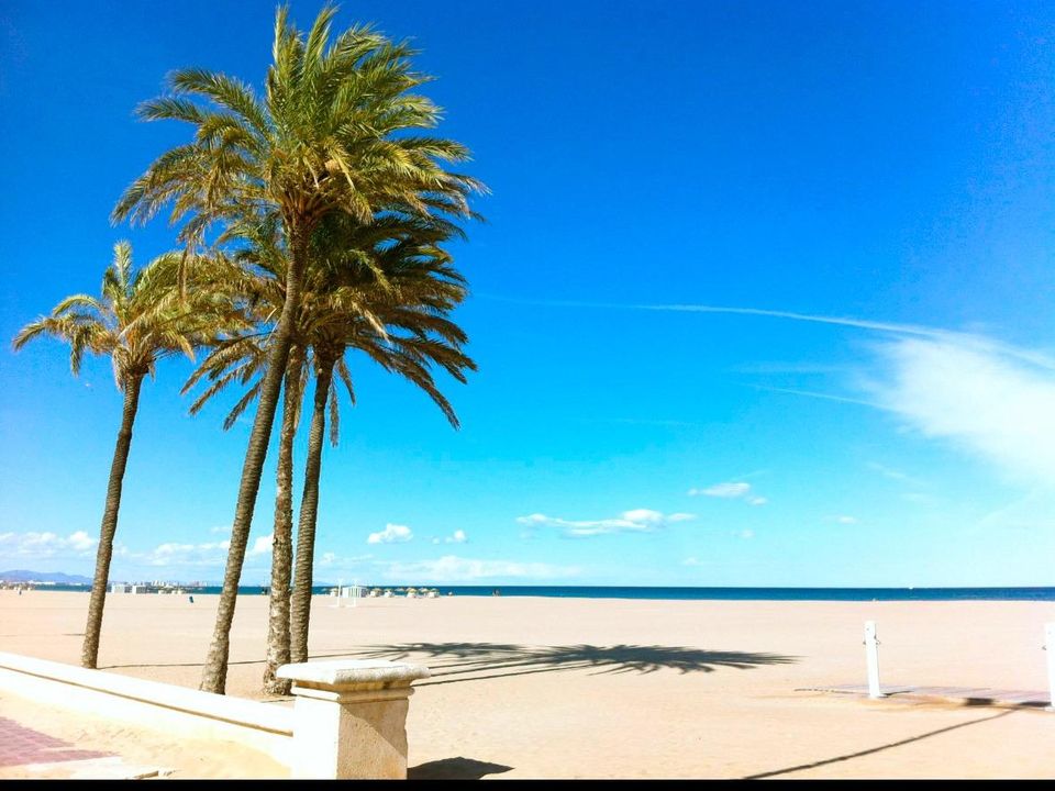 Erhvervsejendom i Valencia, Valencia - foto 5