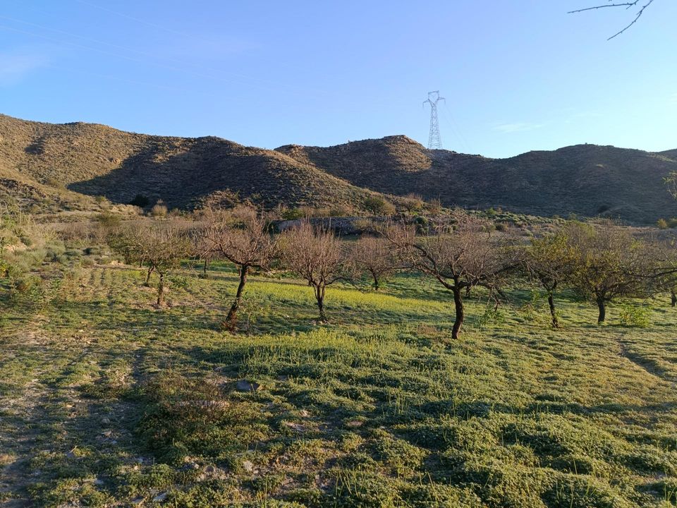 Helårsgrund i Cartagena, Murcia - foto 3