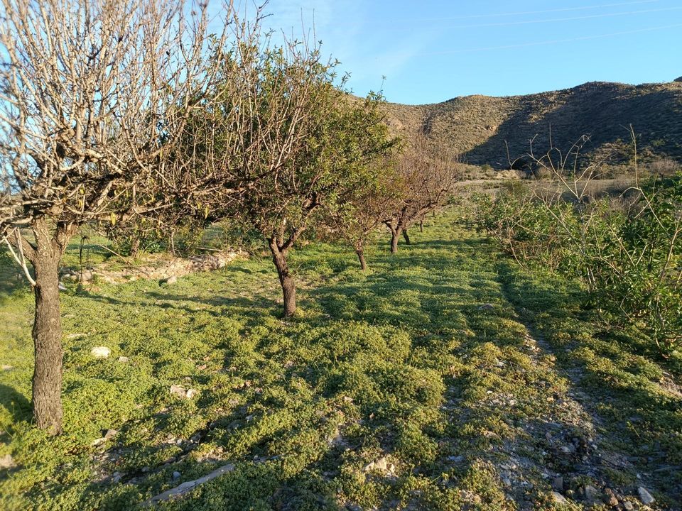 Helårsgrund i Cartagena, Murcia - foto 5