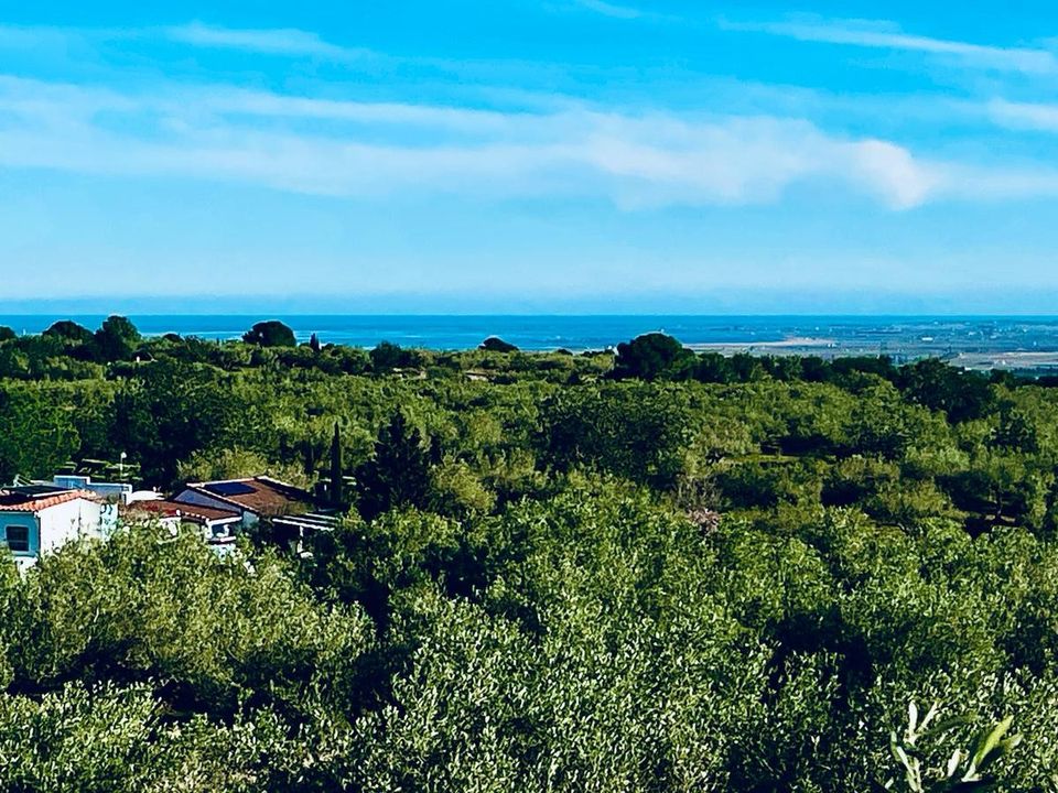Landejendom i Camarles, Tarragona - foto 1
