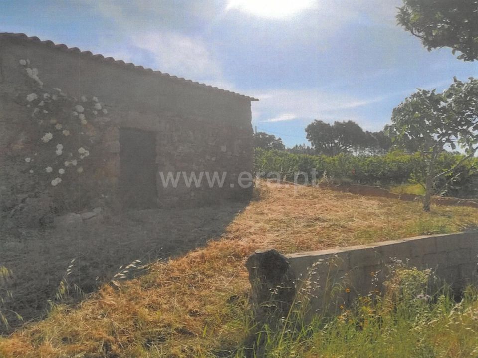 Tomt i Fundao, Castelo Branco - bilde 2