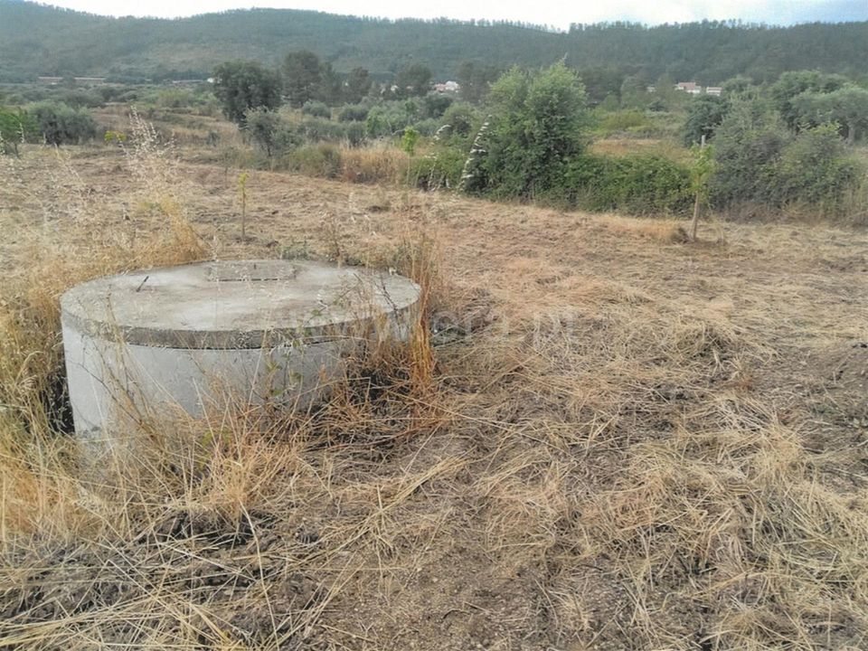 Tomt i Fundao, Castelo Branco - bilde 3