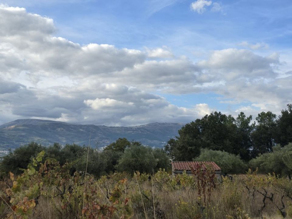 Helårsgrund i Ferro, Castelo Branco - foto 1