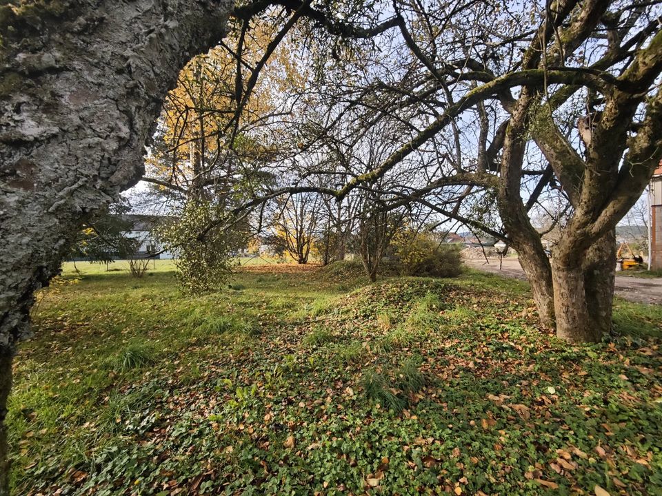 Terra a Archettes, Vosges - foto 3