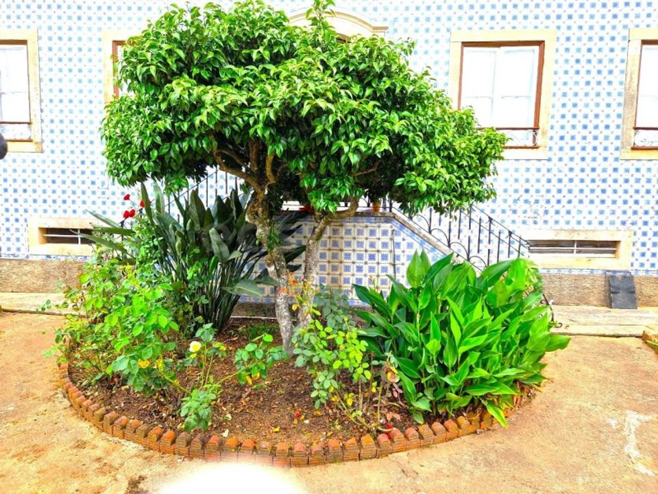 Farm i Ferreira do Zezere, Santarem - foto 4