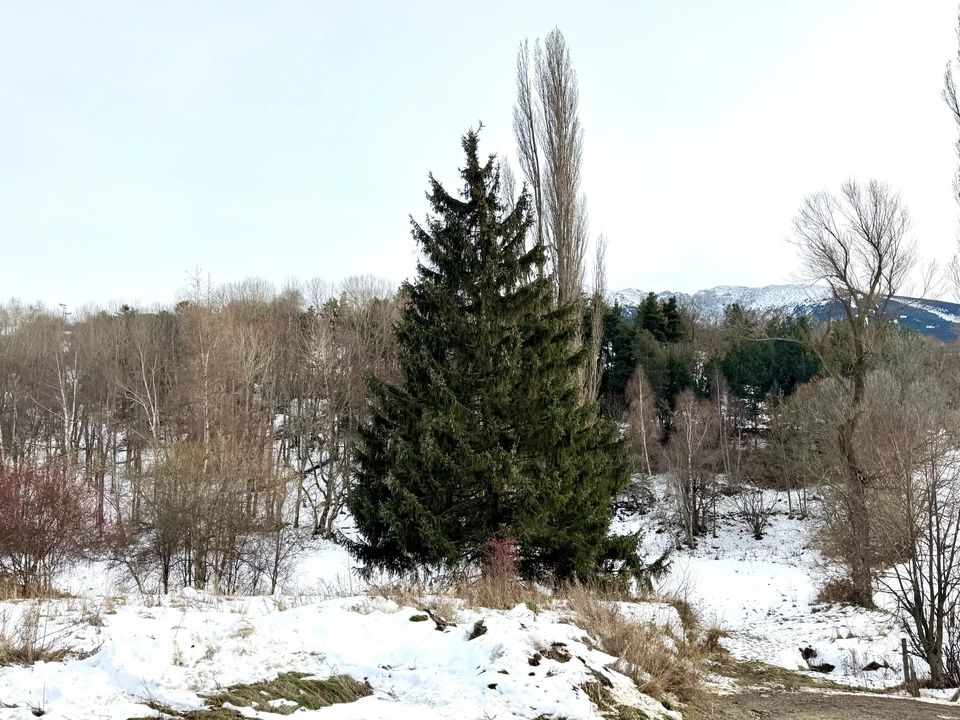 Helårsgrund i La Cabanasse, Pyrenees-Orientales - foto 3