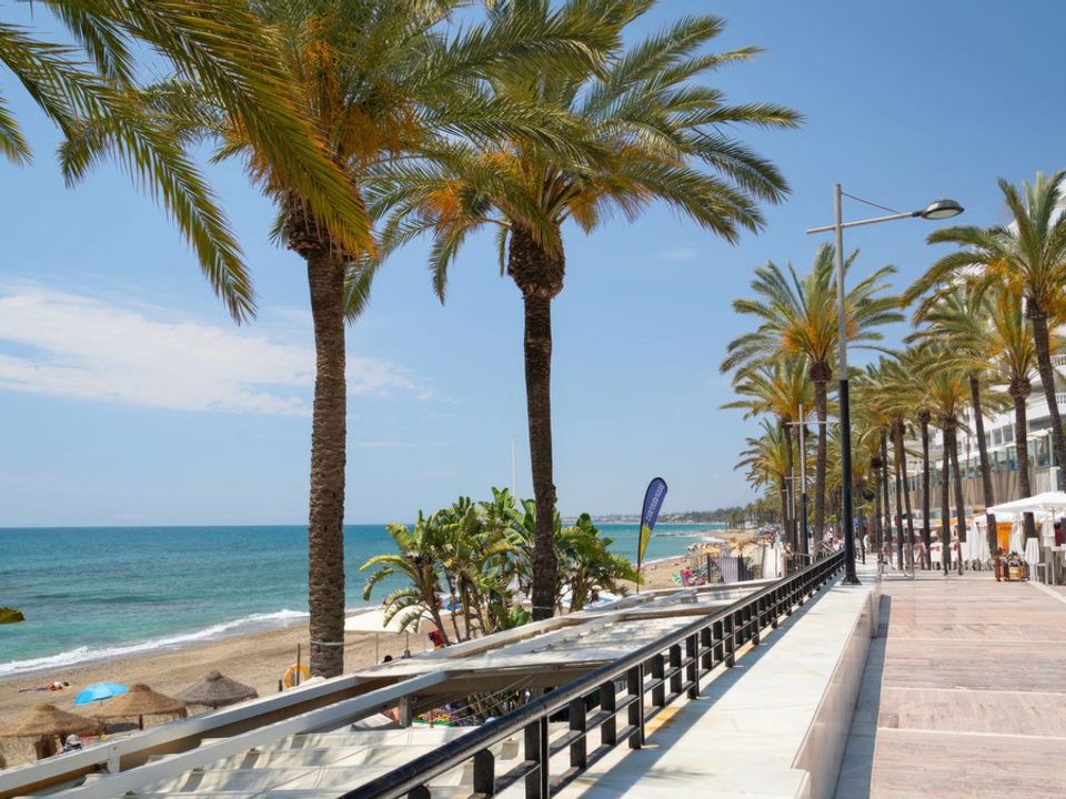 Erhvervsejendom i San Pedro de Alcantara, Malaga - foto 4