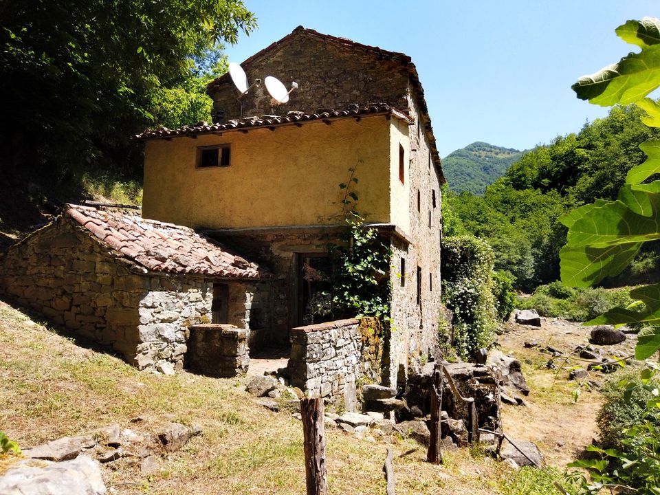 Villa i Pieve Fosciana, Lucca - bilde 4