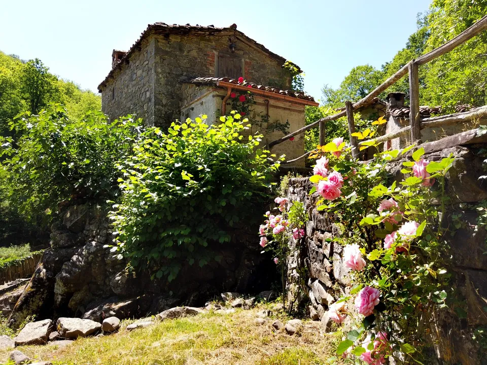 Villa i Pieve Fosciana, Lucca - bilde 5