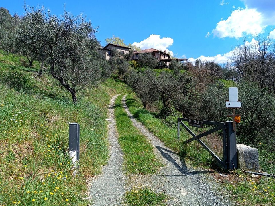 Herregård i Fivizzano, Massa and Carrara - bilde 1