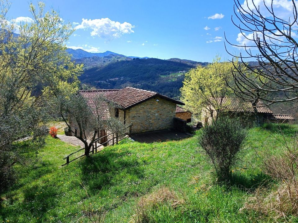 Herregård i Fivizzano, Massa and Carrara - bilde 2