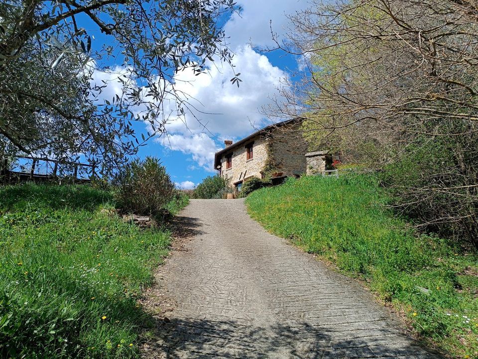 Herregård i Fivizzano, Massa and Carrara - bilde 3