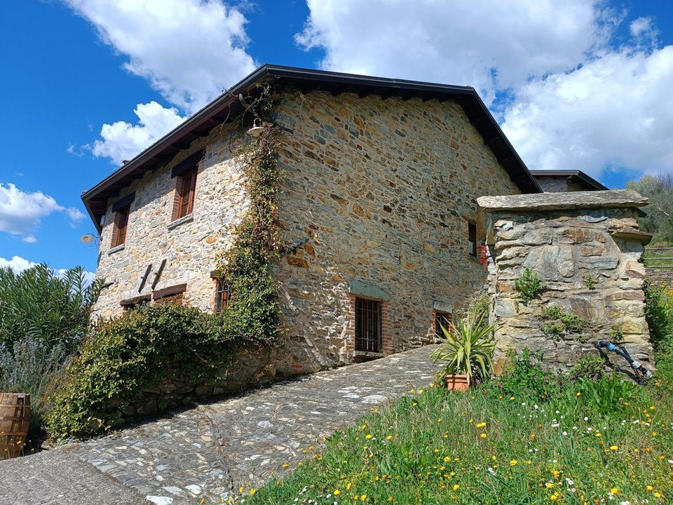 Herregård i Fivizzano, Massa and Carrara - bilde 4