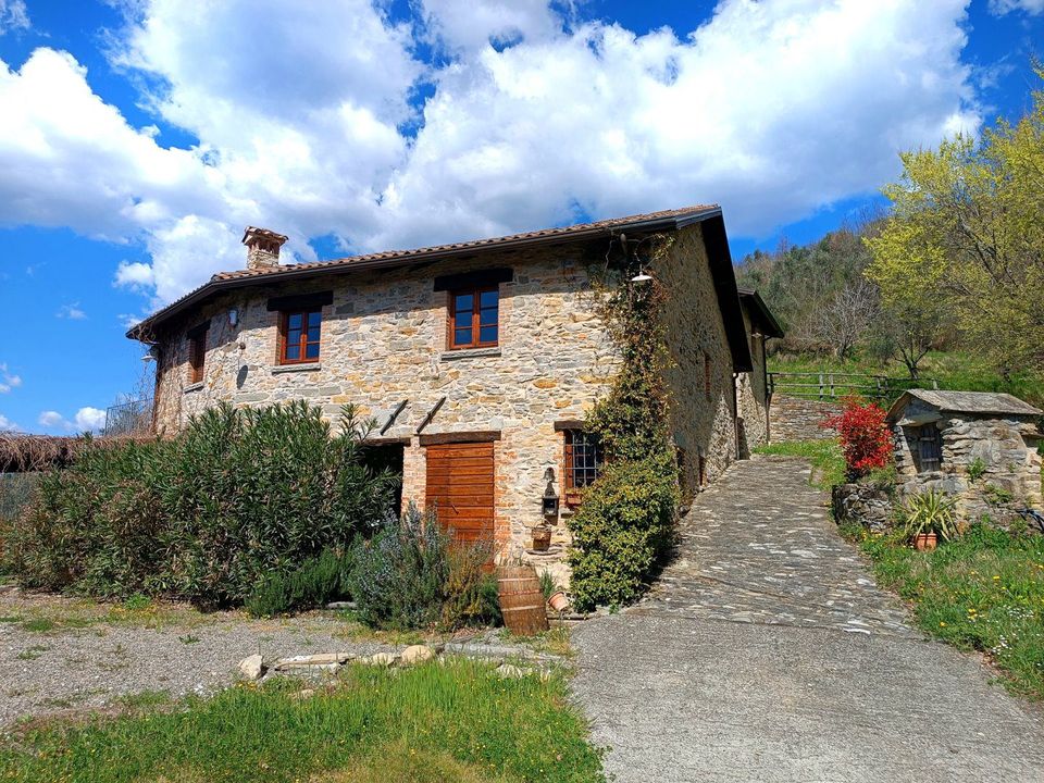 Herregård i Fivizzano, Massa and Carrara - bilde 5